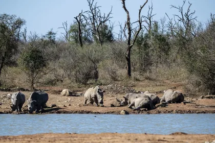 Hlane Royal National Park