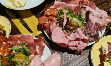 Travel Business Main