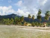 Ocean and Palm Trees at Maracas Beach in Trinidad and Tobago