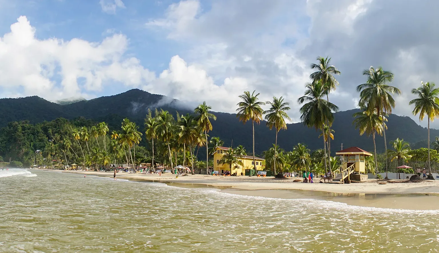 Ocean and Palm Trees at Maracas Beach in Trinidad and Tobago