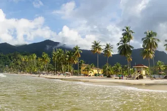 Ocean and Palm Trees at Maracas Beach in Trinidad and Tobago