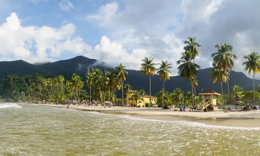 Ocean and Palm Trees at Maracas Beach in Trinidad and Tobago