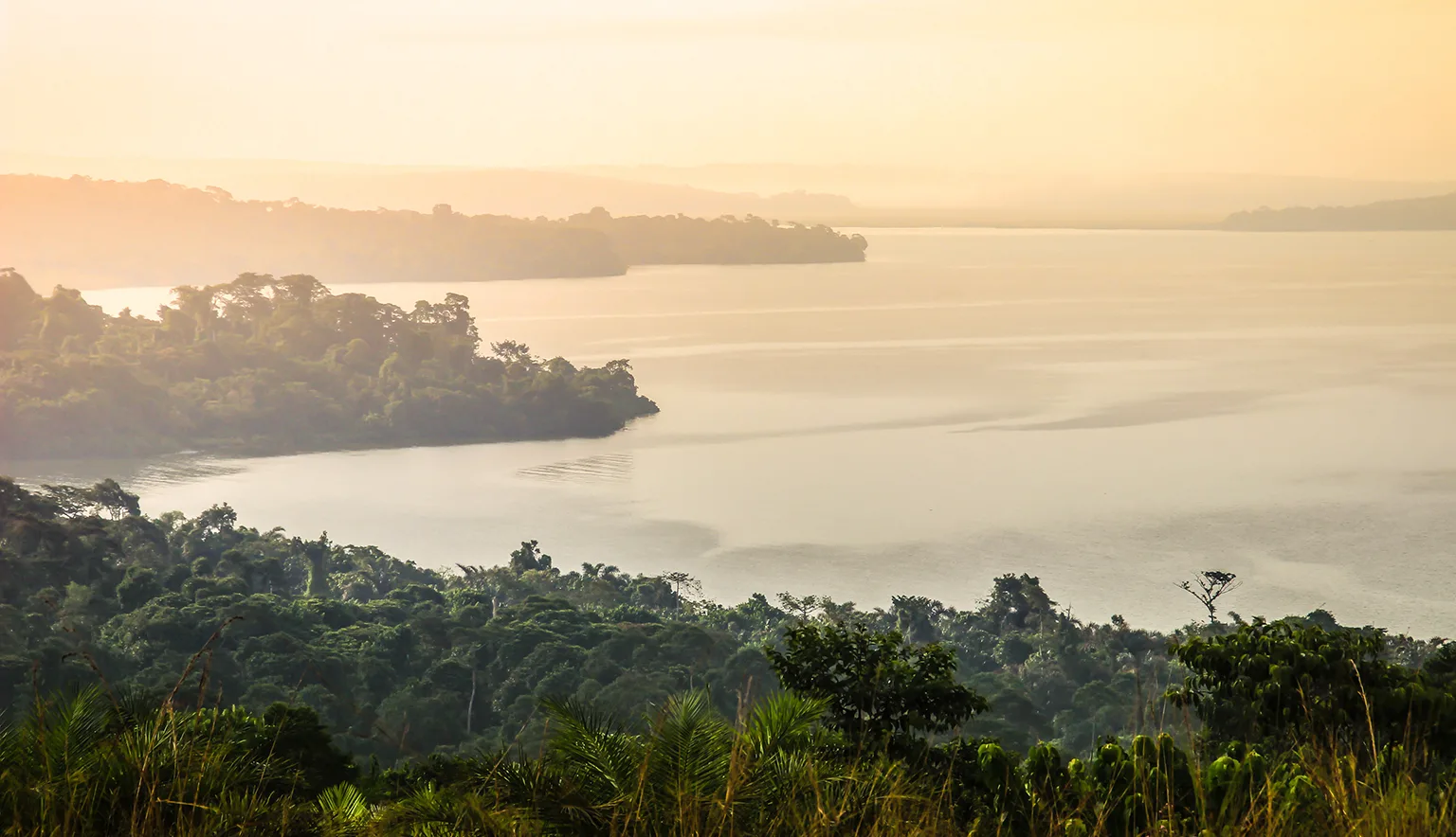 Gentle and soft yellow light at dawn over Lake Victoria in Uganda