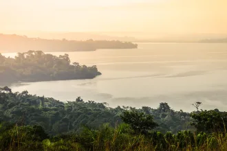 Gentle and soft yellow light at dawn over Lake Victoria in Uganda
