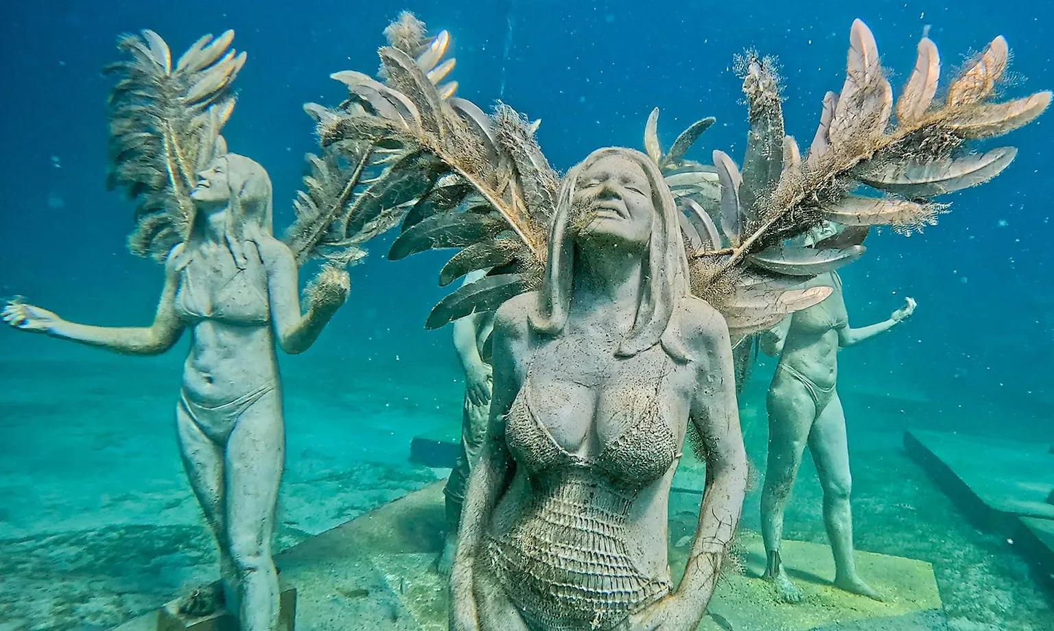 Under SXM : Creating Sustainable Underwater Experiences | Outlook