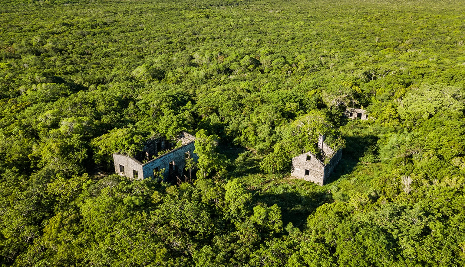 WADE’S GREEN PLANTATION main