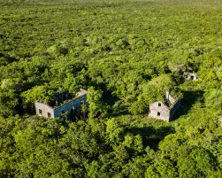 WADE’S GREEN PLANTATION main