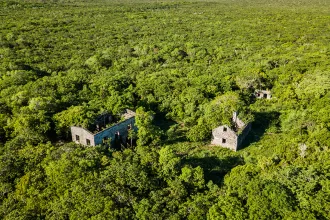 WADE’S GREEN PLANTATION main