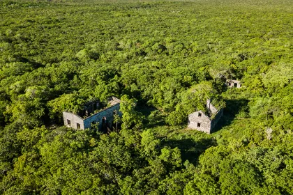 WADE’S GREEN PLANTATION main