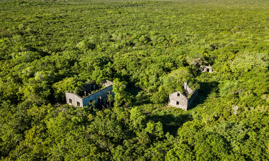 WADE’S GREEN PLANTATION main