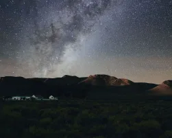 Western Cape 2025 MAIN Industry Insights