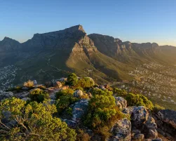 View of Table Mountain and 12 Apostles from Lion's Head. Cape Town. Western Cape. South Africa