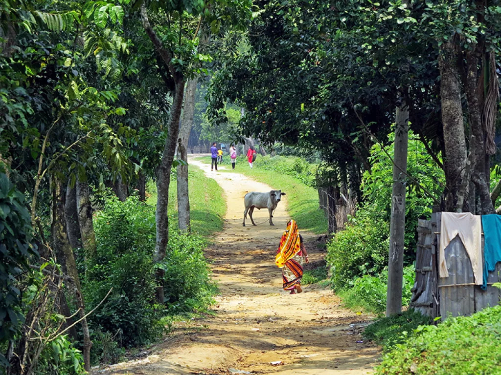 bangla of tourist