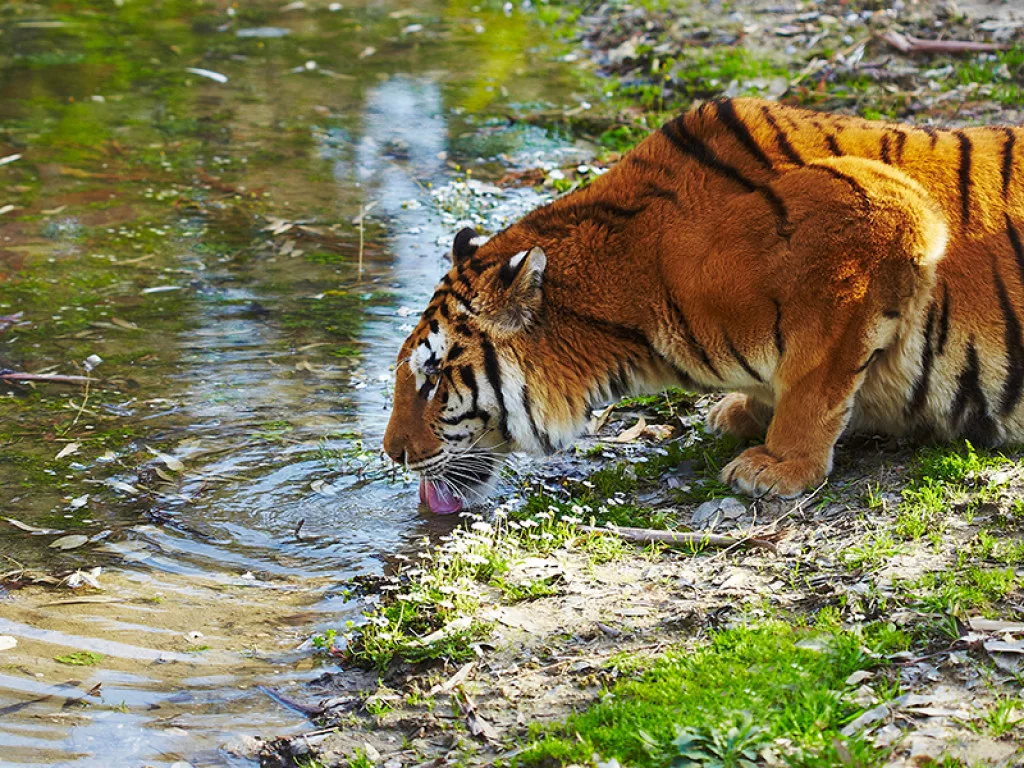 tourist guide for bangladesh