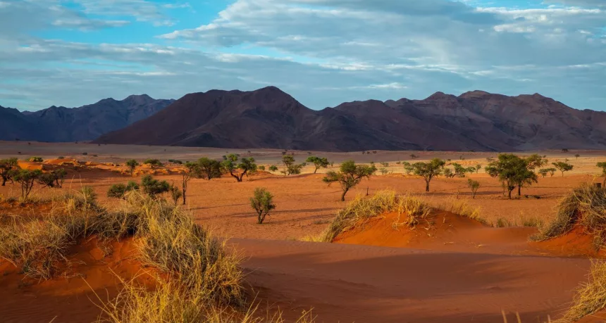 Namib Desert, Alan J Hendry, Unsplash