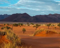 Namib Desert, Alan J Hendry, Unsplash