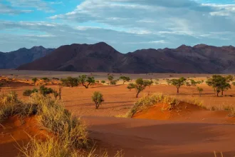 Namib Desert, Alan J Hendry, Unsplash