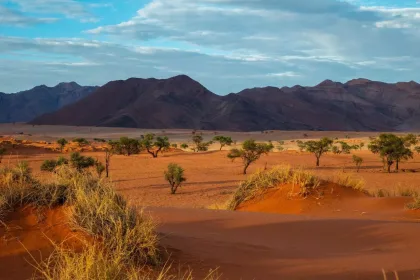 Namib Desert, Alan J Hendry, Unsplash