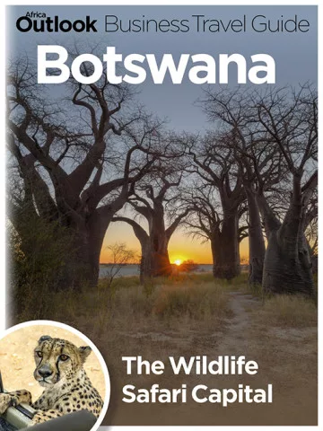 Botswana Travel Guide