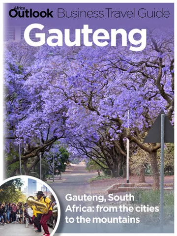 gauteng travel guide