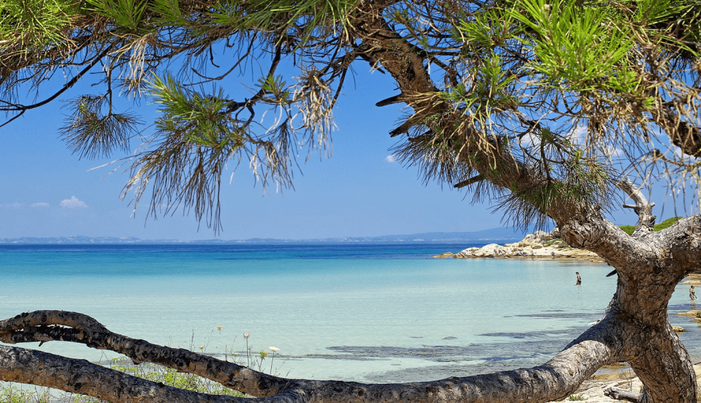 Halkidiki Tourism Travel Guides