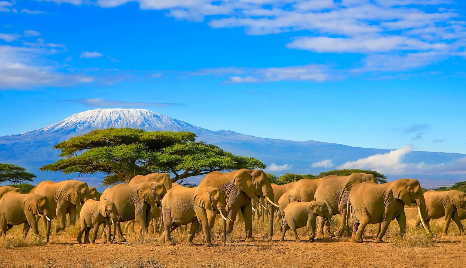 Tanzania Tourism | Travel Guides