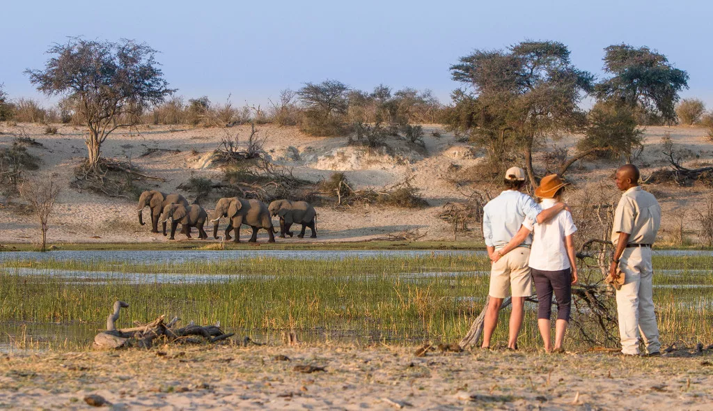 botswana tourism organization